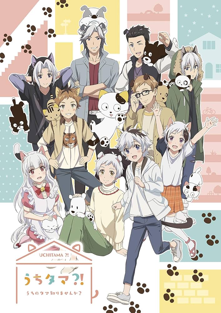 半数未開封　うちタマ?! うちのタマ知りませんか?　限定版 DVD　全6巻セット Blu-ray&DVD | TVアニメ「うちタマ⁈ ～うちのタマ知りませんか